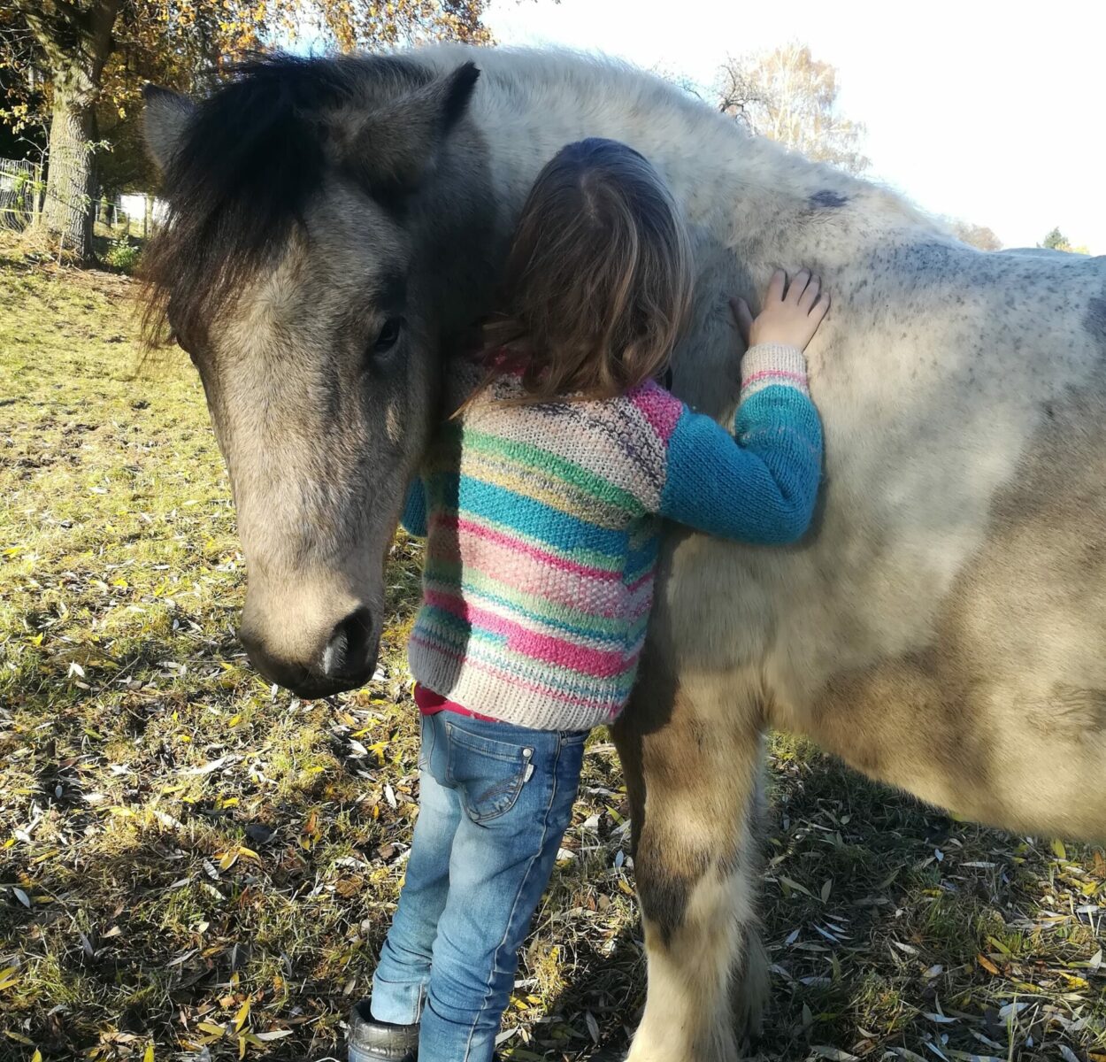 Kind Pony Natur